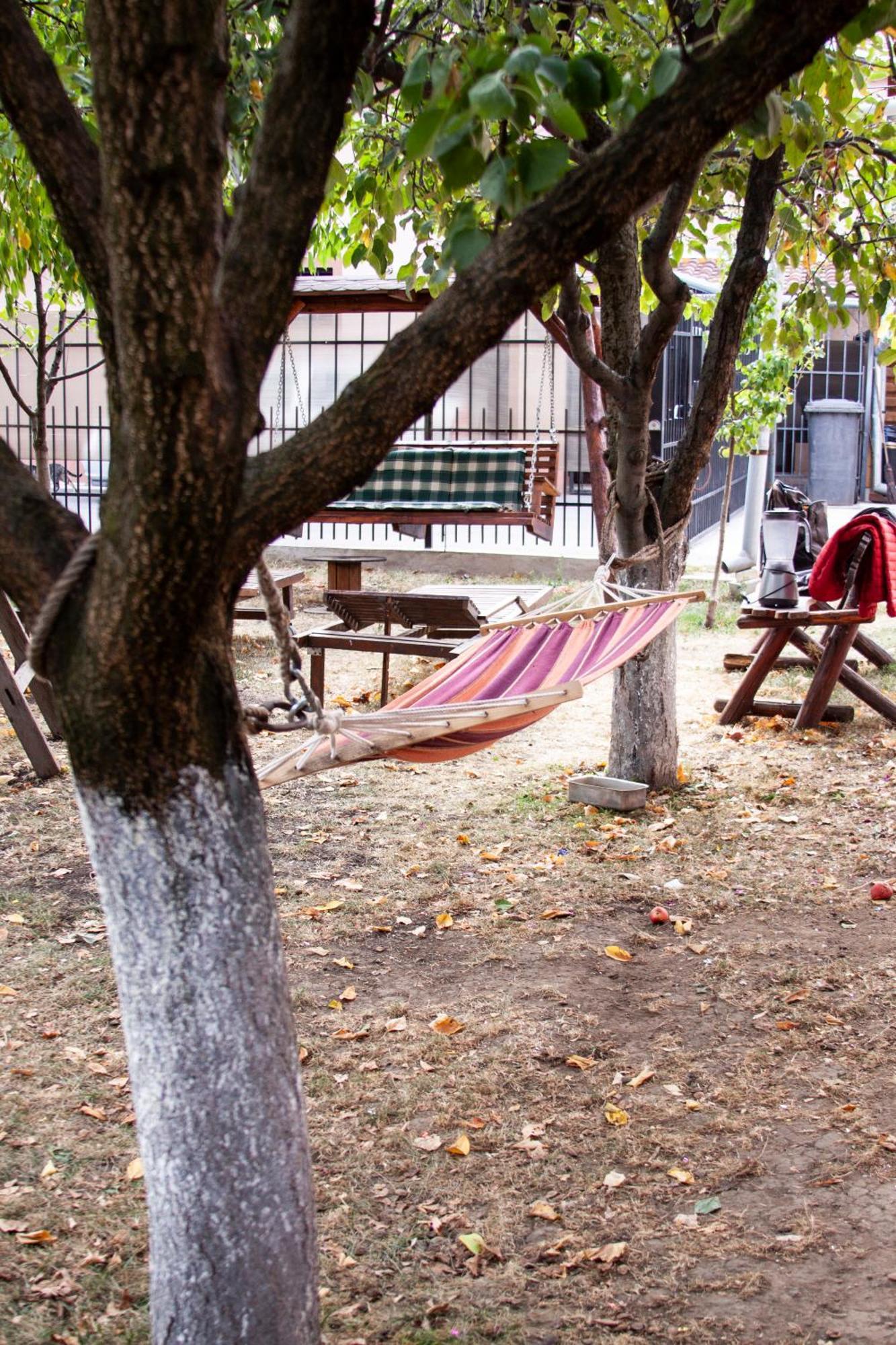 Sport Hostel Cluj מראה חיצוני תמונה