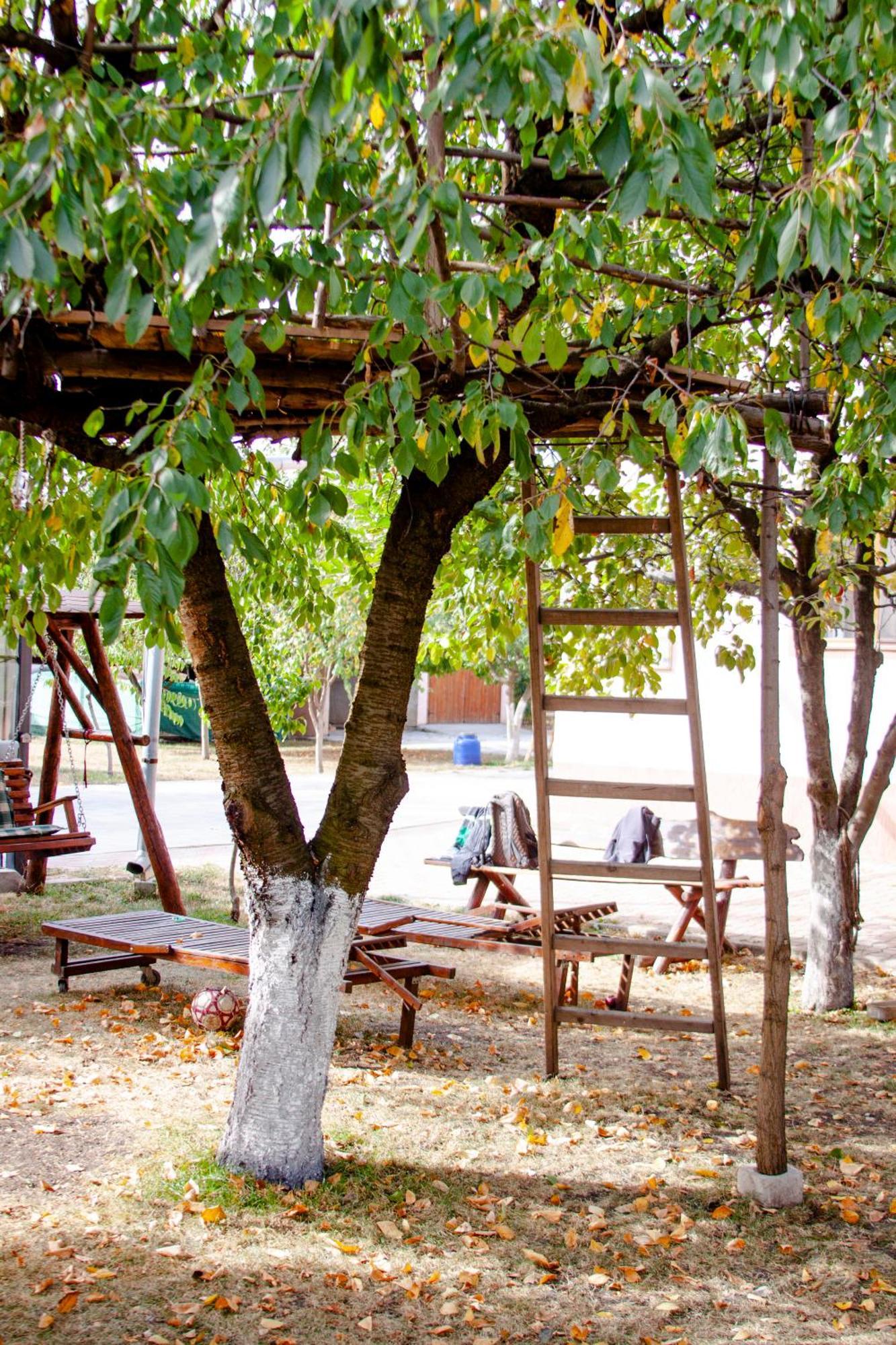 Sport Hostel Cluj מראה חיצוני תמונה