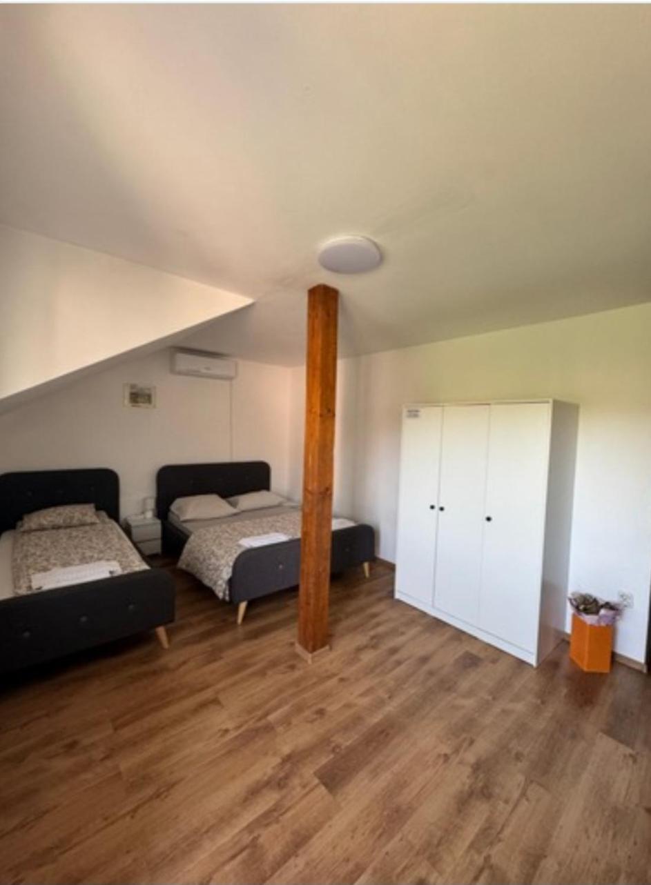 Sport Hostel Cluj מראה חיצוני תמונה
